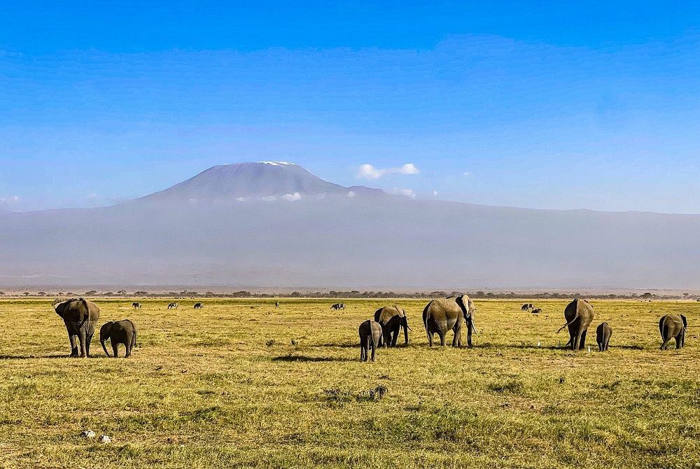 7-Day Kenya Luxury Safari