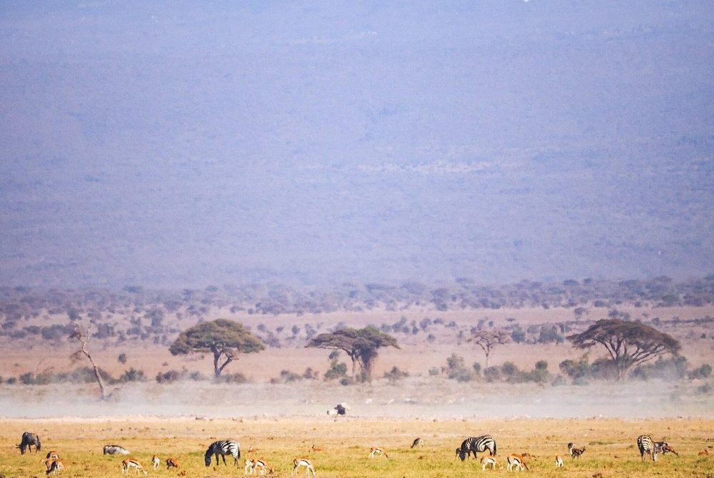 6-Day Amboseli, Tsavo West & East Safari