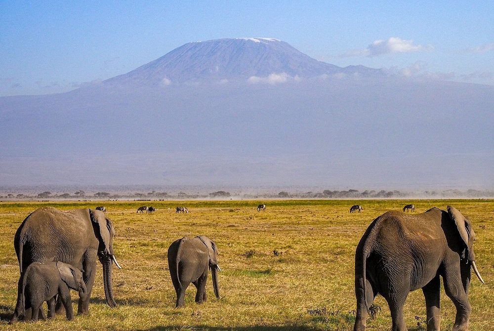 2-Day Amboseli Safari -Mid Range