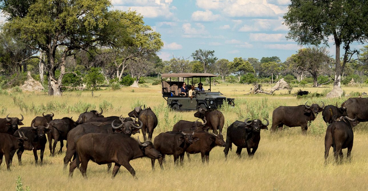 7-Day Buffalo Wild Safari – Kenya