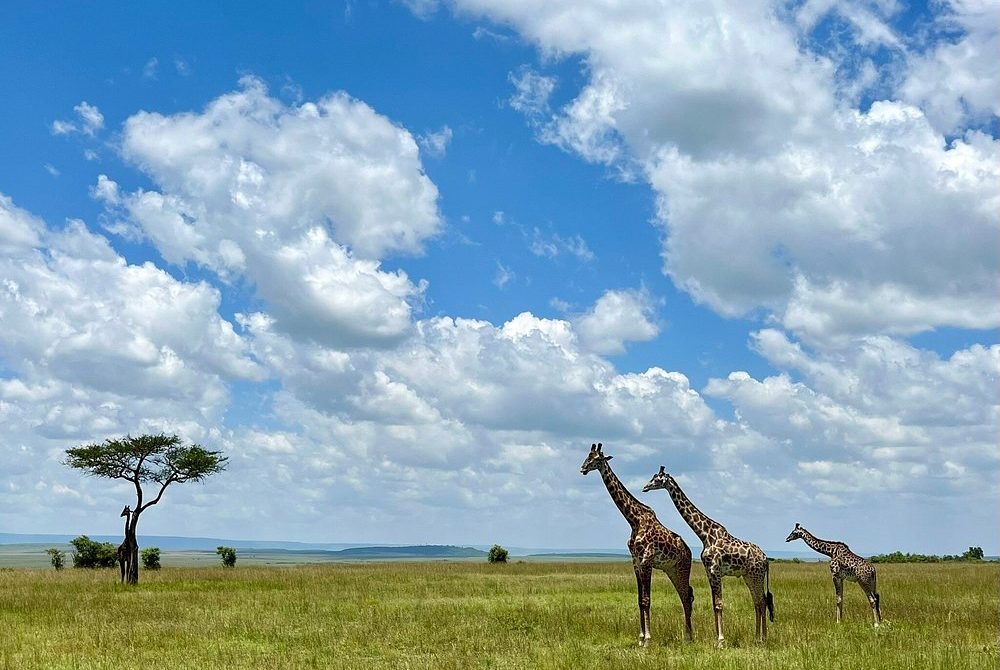 12-Day Kenya Safari in Trails