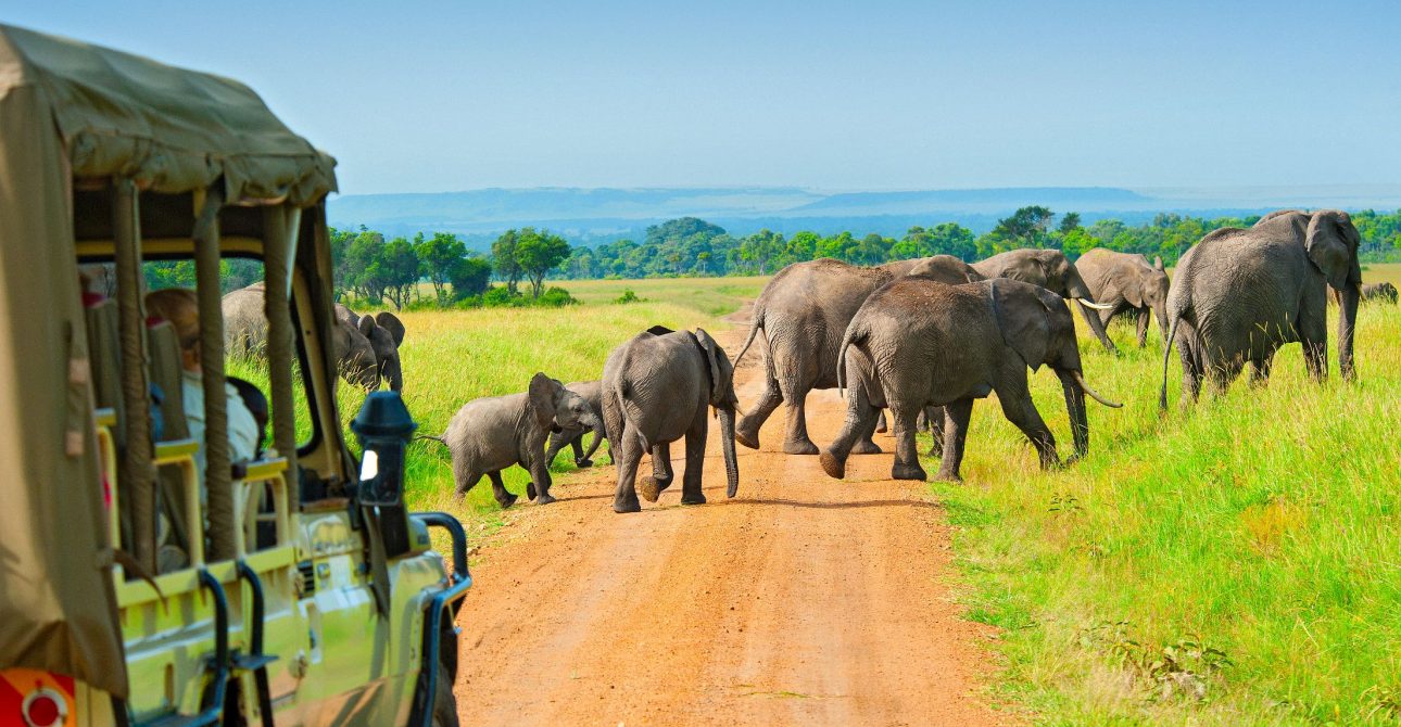 7-Day Kenya Off the Beaten Path  Safari – Mid-Range