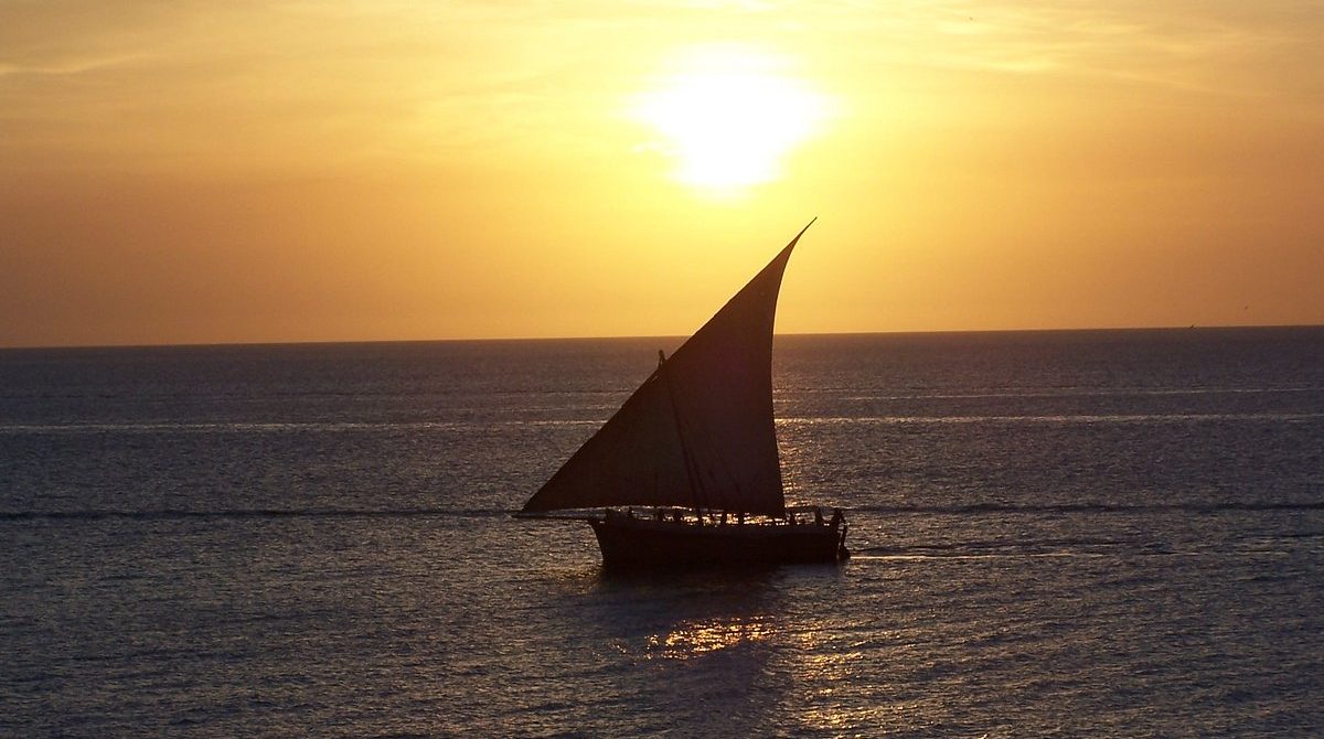 11-Day Mid-Range Tanzania Wildlife and Beach Safari